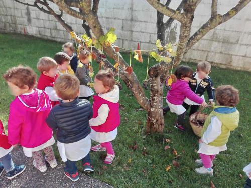 16 PRIMAVERA